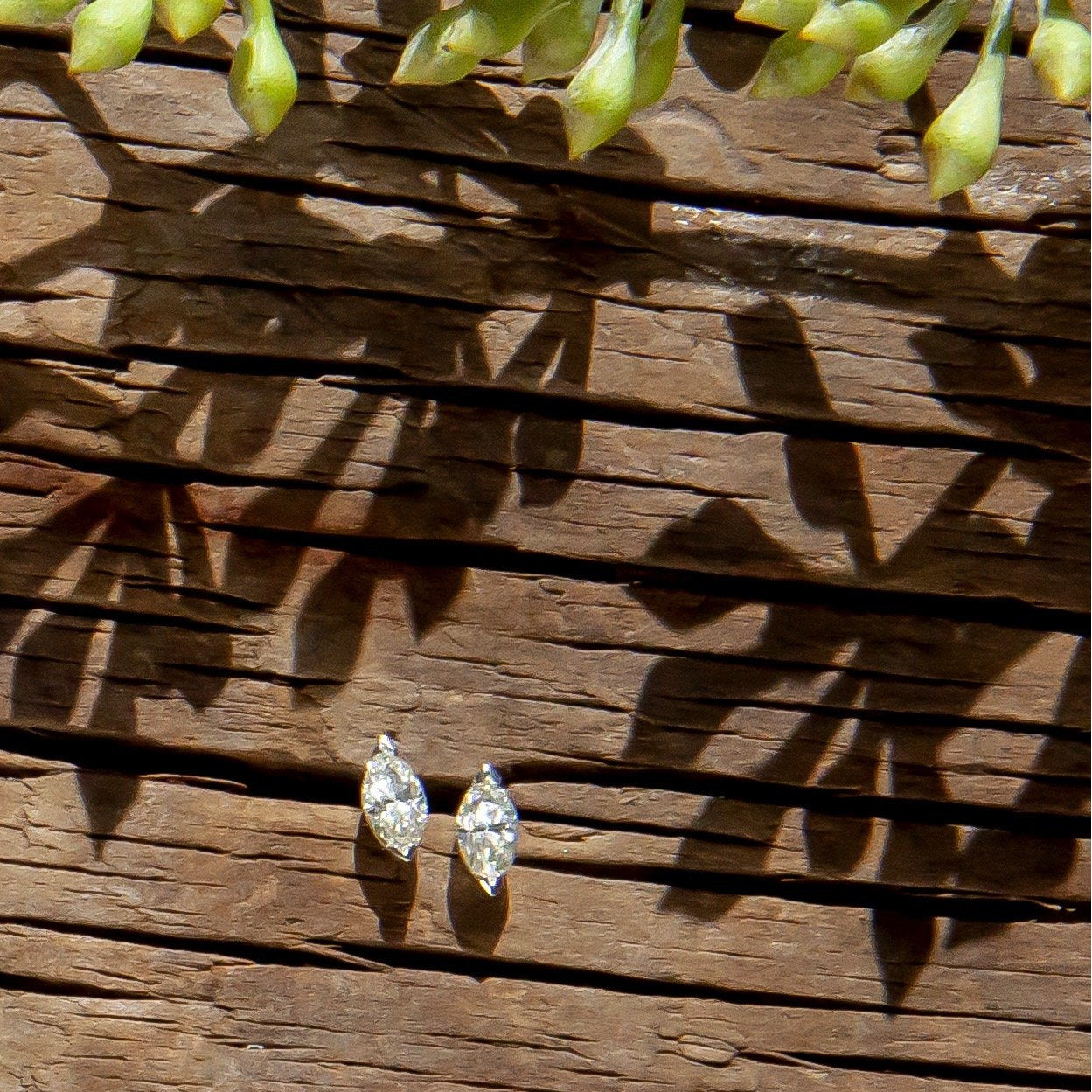 Sade Earrings
